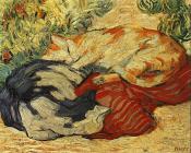 弗朗茨 马克 : Cats